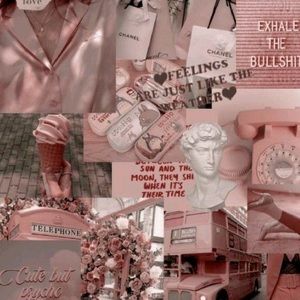 Meet your Posher, Ariana